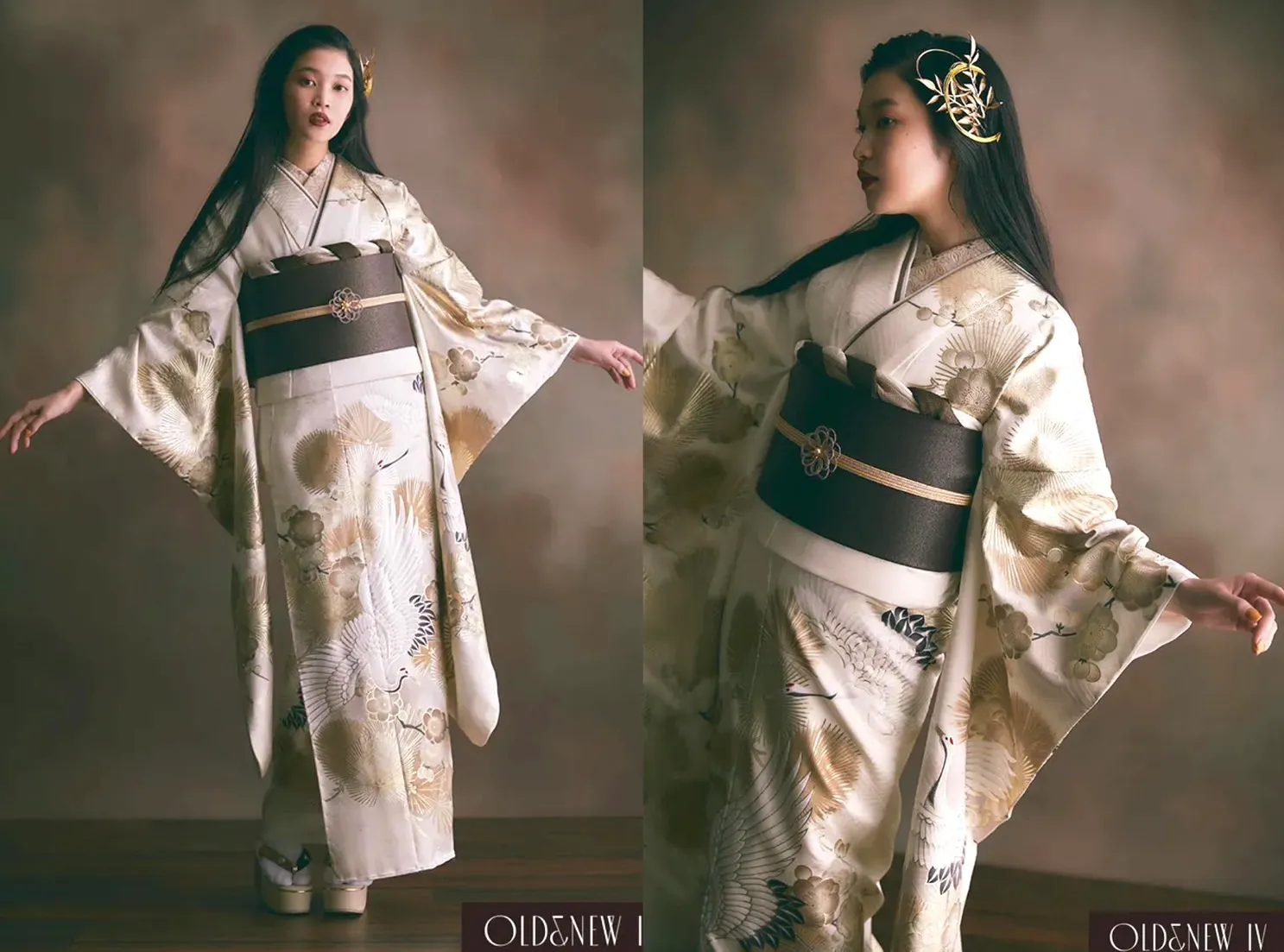 振袖　レンタル　奈良　大人っぽい　ニュアンスカラー　ヴィンテージ　鶴柄