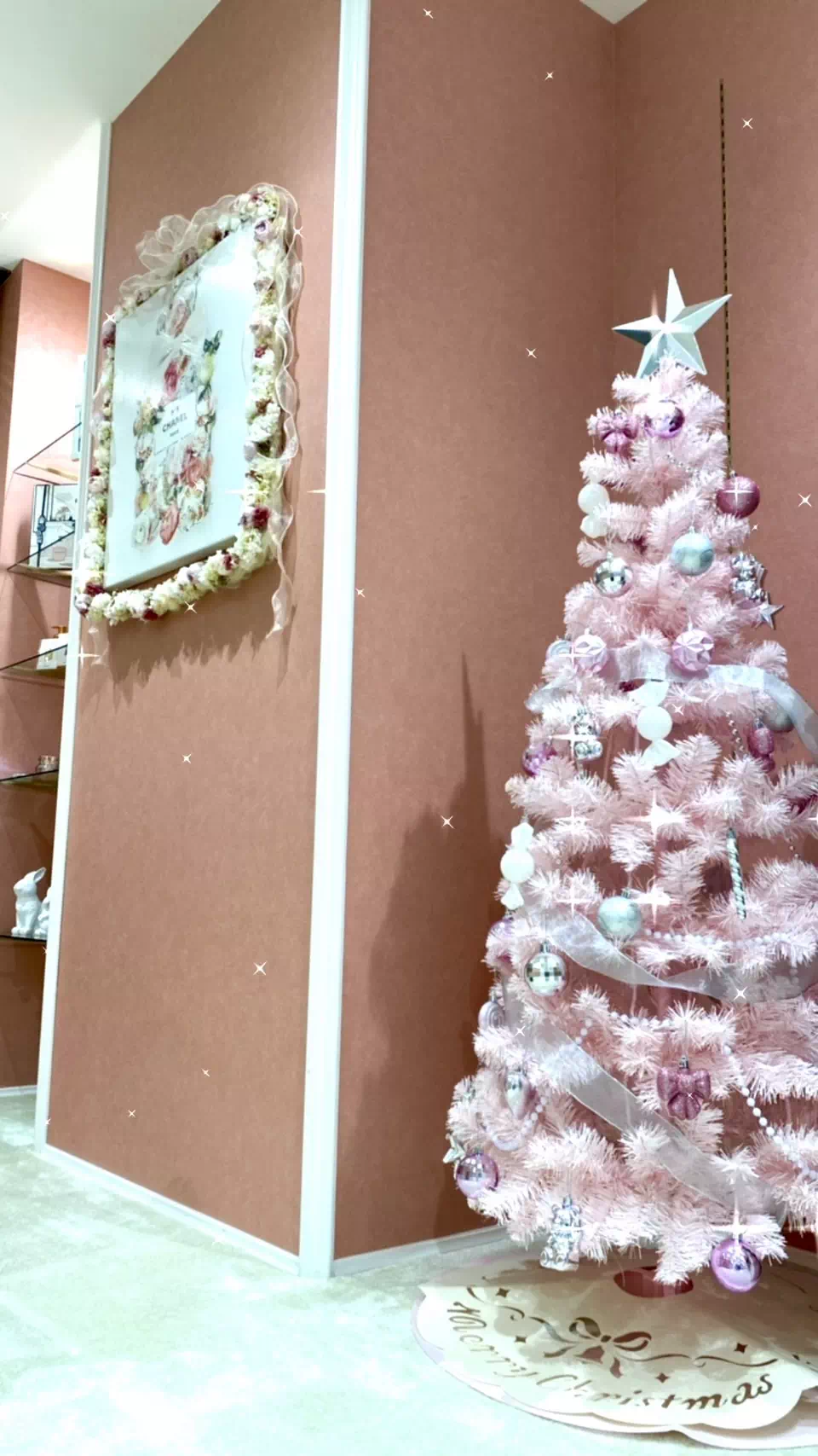 【TAKAZEN姫路店】♡17日 姫路店にクリスマスツリー登場♡2024年成人のお振袖レンタルの駆け込みもまだ間に合います!!