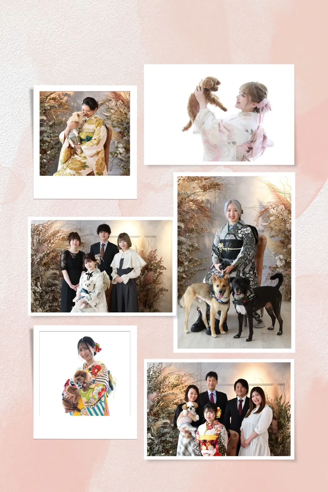 https://stg.takazen.up-point-server.com/shop/shinsaibashi/