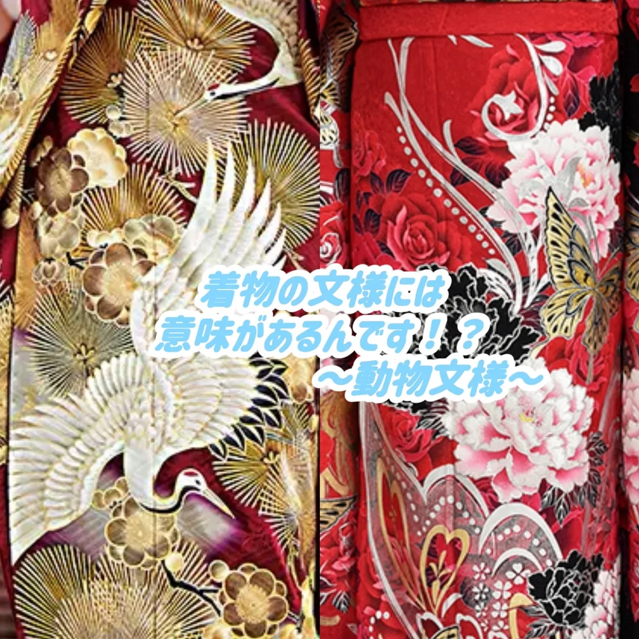 【TAKAZEN橿原店】30日♡お着物の文様~動物文様~についてのご紹介です♡
