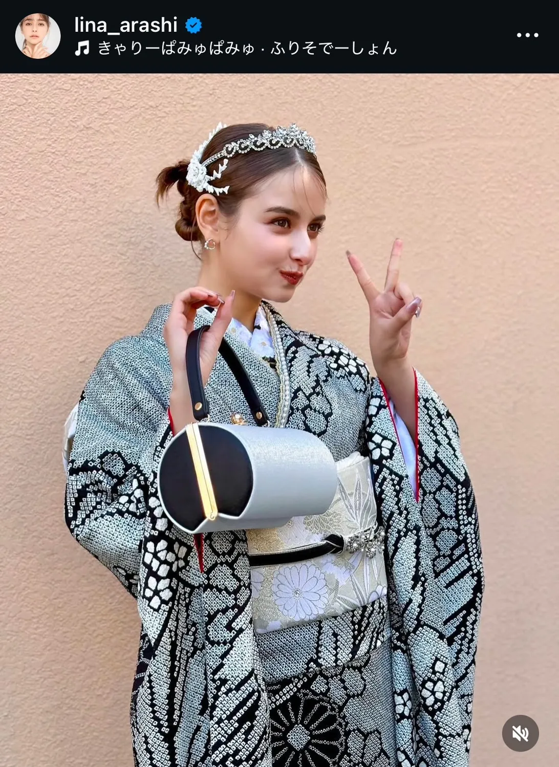 成人式振袖　嵐莉奈　総絞り