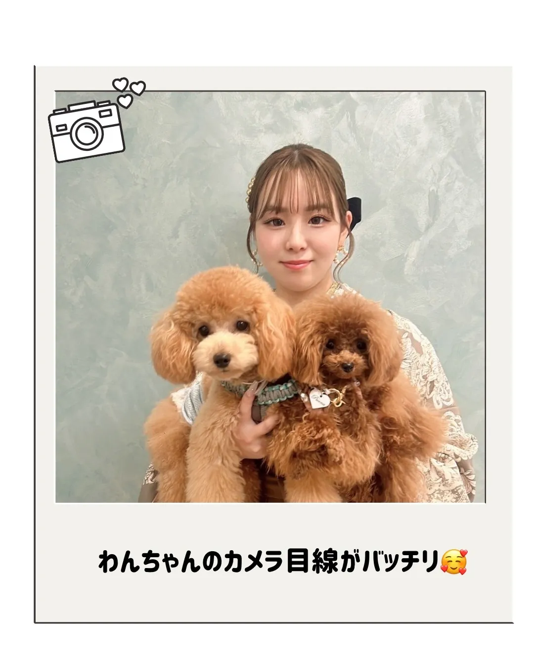 前撮り　振袖　撮影会　モード　　ペット撮影　愛犬と撮影
