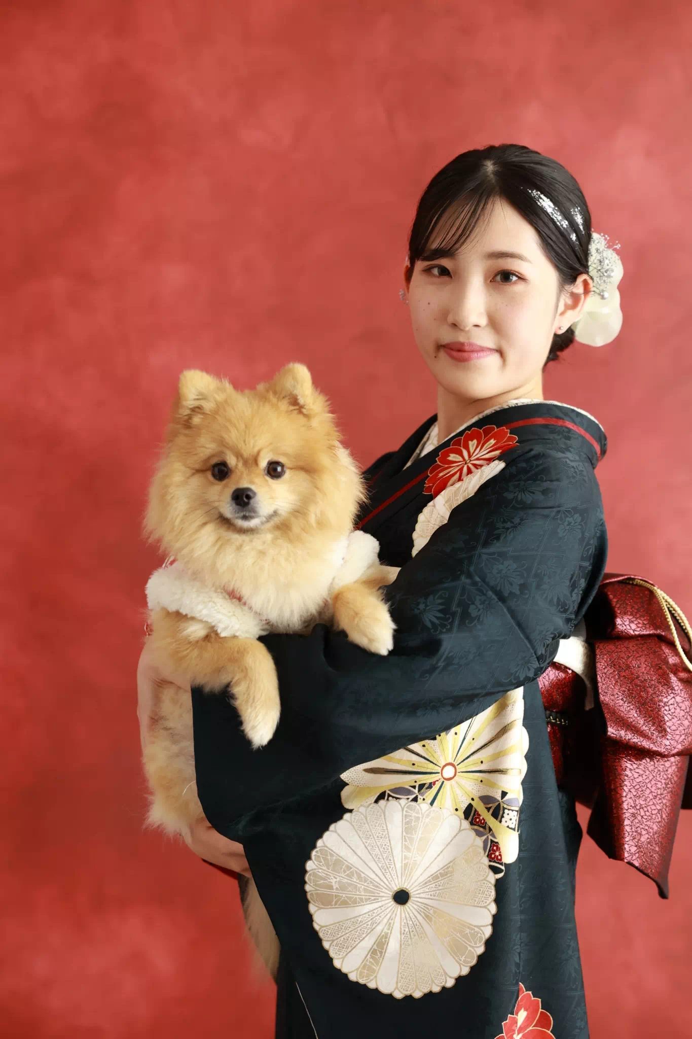 TAKAZEN姫路店　加古川市　高砂市　人気振袖　振袖レンタル　姫路市　成人式　卒業式　袴　振袖　イマドキ振袖　香音　